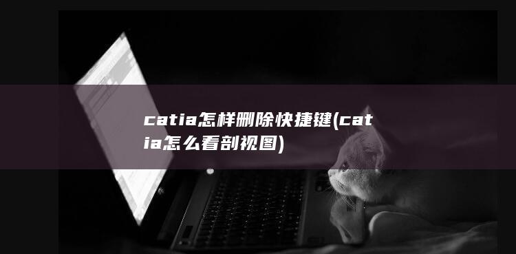 catia怎样删除快捷键