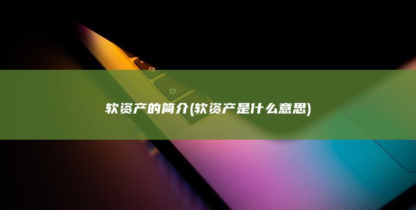软资产的简介
